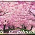 LE PRINTEMPS EST ARRIVE.....