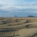 Journée d'intégration en Baie du Mont Saint Michel