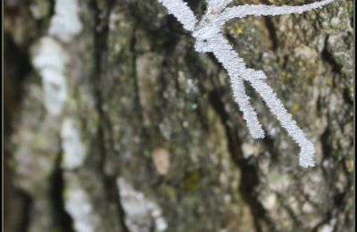 le bonhomme hiver est là !