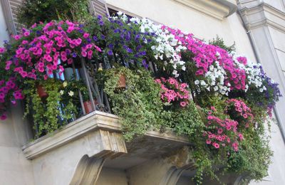 Explorer le Trastevere...et plus. 21 juin