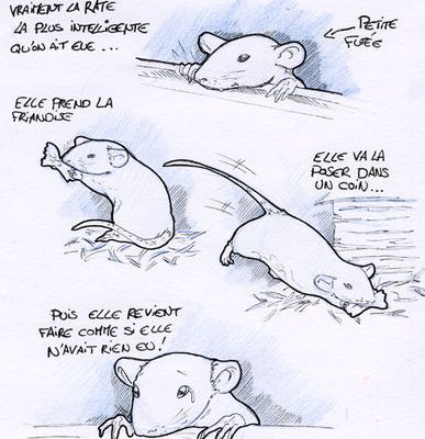 Moby Dick, petite futée...