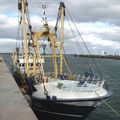 Le "Blue Angel" port d'attache Zeebruge (Belgique) au quai de France