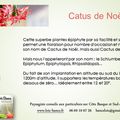 👨‍🌾 Paysagiste pays basque : Schlumbergera Russeliana. Plantes dépolluantes.