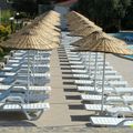 PARASOLS ET CHAISES LONGUES