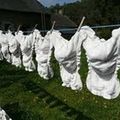 Vendredi, jour de lessive