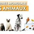 Journée Mondiale des Animaux