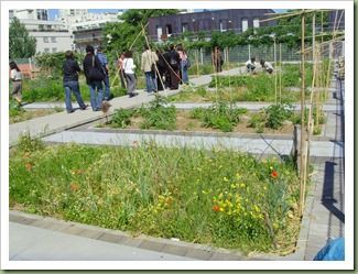 Jardin sur le toit