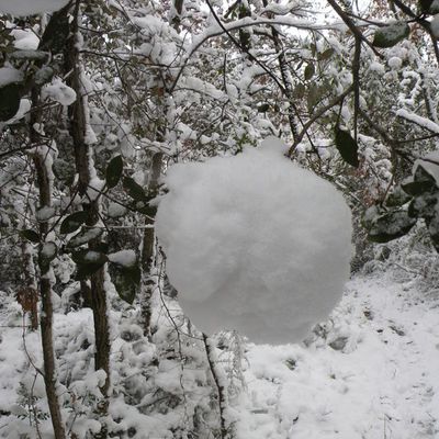 La boule de neige