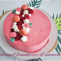 Entremet framboise amande {parce que notre fille est accro à l'entremet framboise}