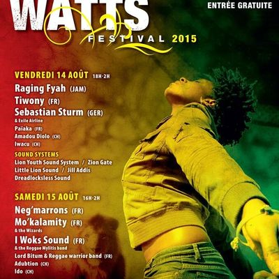 FESTIVAL DE PLEIN-LES-WATTS 2015