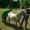 VISITE DU VETO POUR FANNY STELLA ET KIMI