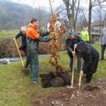 OUR TREE PLANTING on April the 11th of 2998 in Kruth