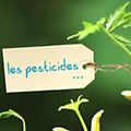 Le jardinage raisonné, qu'est que c'est ?