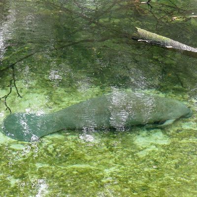 02 – 12 blue spring sp – kissemmee rv park