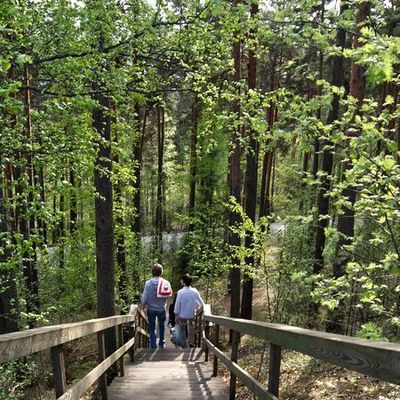 Pique Nique à Pinikki