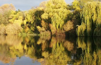 Paysages d'automne