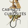 Exhibition at Landerneau focuses on cabinets of curiosities
