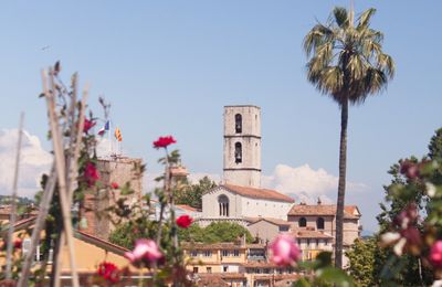 Grasse et la rose (Exporose 2025)