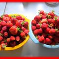 C'est la saison des fraises !!!!