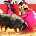 Temporada : Saint-Perdon (Landes) - Les photos de Stéphanie Benquet