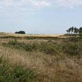 Mon regard sur le Finistère Nord, les dunes