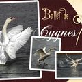 Ballet de cygnes