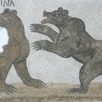 Quelques heures au Musée du Bardo à Tunis et un attentat ce jour le 18 Mars 2015