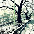 Tokyo in white again