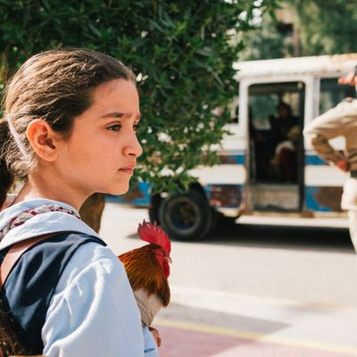 [CRITIQUE] LE GÂTEAU DU PRÉSIDENT: Master chef en Irak