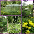 Dimanche sous le soleil, véritable plaisir de parcourir les allées du jardin de Nafraiture et d'y découvrir la Belle dormant