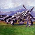 P 47 Thunderbolt ( gouache )