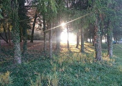 lever du jour au Pondy 