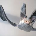 Sculpture papier d'oreillard gris Plecotus austriacus