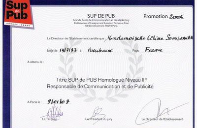 TITRE SUP DE PUB HOMOLOGUE NIVEAU II 