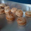 Macarons Spéculoos Caramel - beurre salé