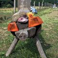 Cochon recyclé