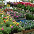 [Drôme] découvrir Blacons à l'occasion de son marché aux fleurs