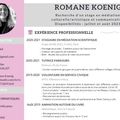 CV Romane KOENIG : stage de médiation culturelle/artistique et communication : juillet-août 2021