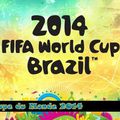 2014 Fifa World Cup Brazil !