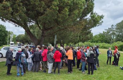 11 mai : Pique nique commun à Audenge