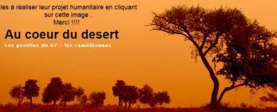 AU COEUR DU DESERT 