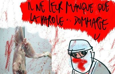 Les animaux sont doués de sensibilité - par Bar - 31 janvier 2015
