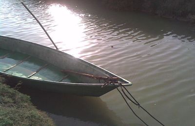 barque (camargue)