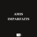 "Amis imparfaits" de Serge Cazenave-Sarkis * * * (Ed. de l'Abat-Jour, 2014)