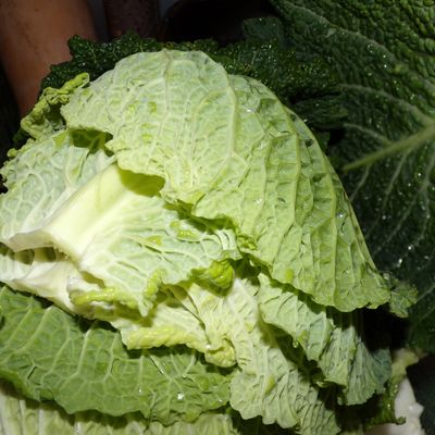 Batchcooking : autour du pot au feu...