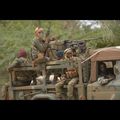 Mali: les troupes françaises et maliennes ont repris Gao