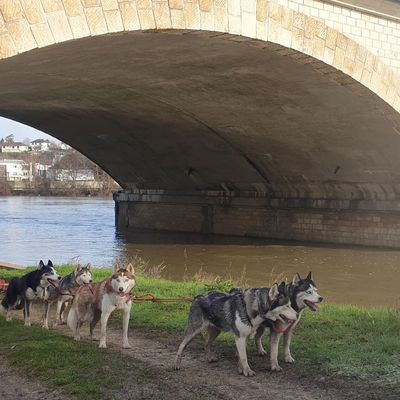 Sortie du 24 janvier 2021