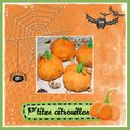 P'tiTs PoChoNs CiTrOuiLLeS PoUr HaLLoWeeN