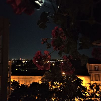 Pleine lune ...