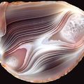 Agate from Botswana